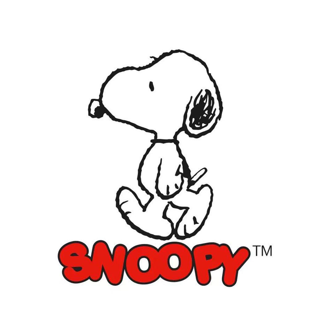 Snoopy史努比诚泓童鞋专卖店