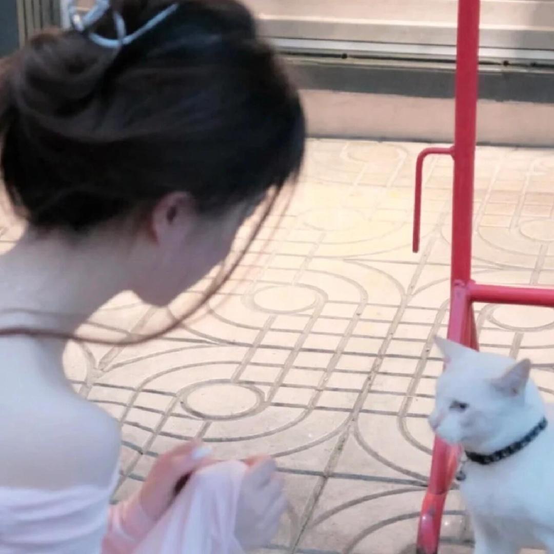 折耳根公主