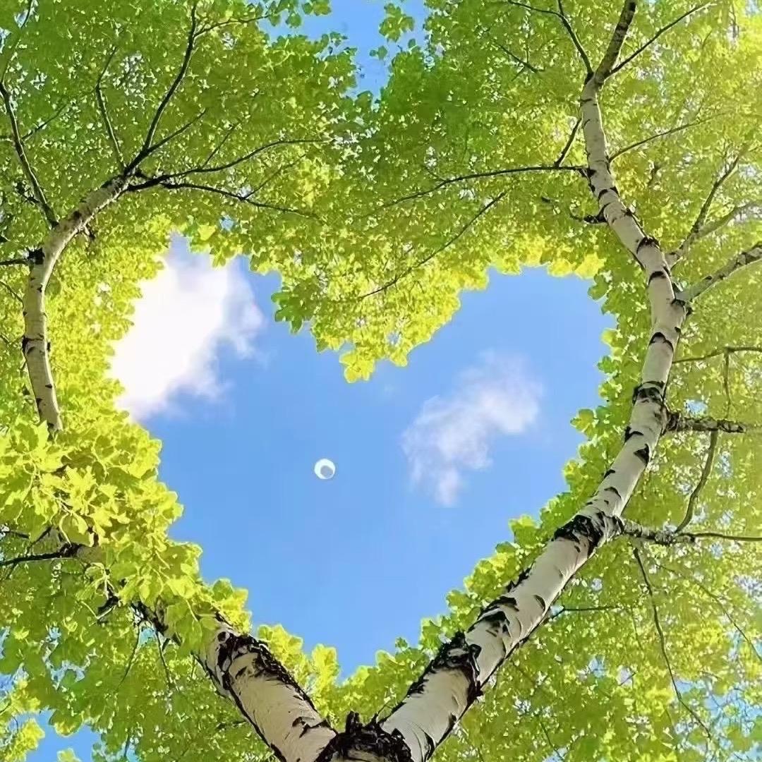 ❤️有你最甜❤️