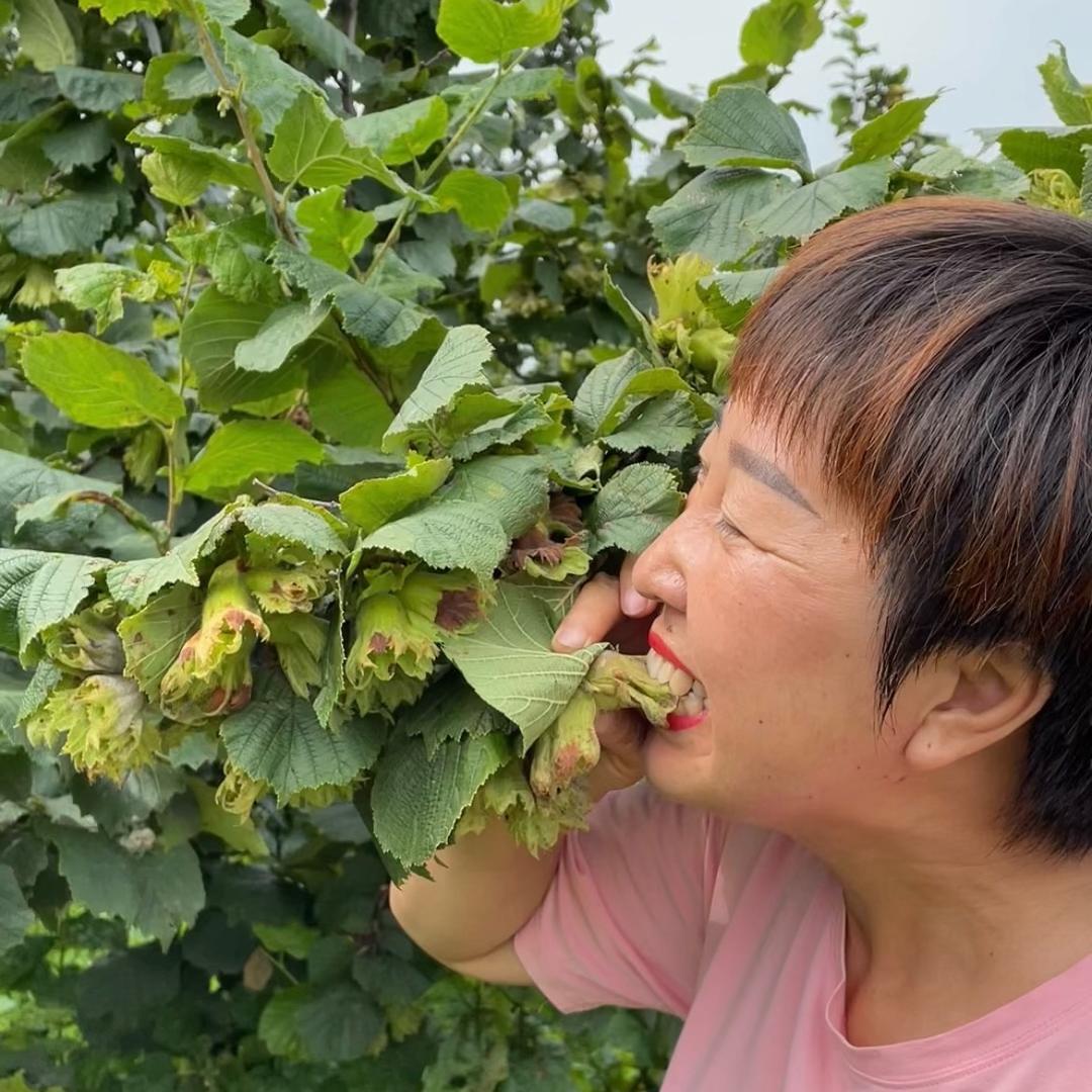 伦嫂的家乡特产