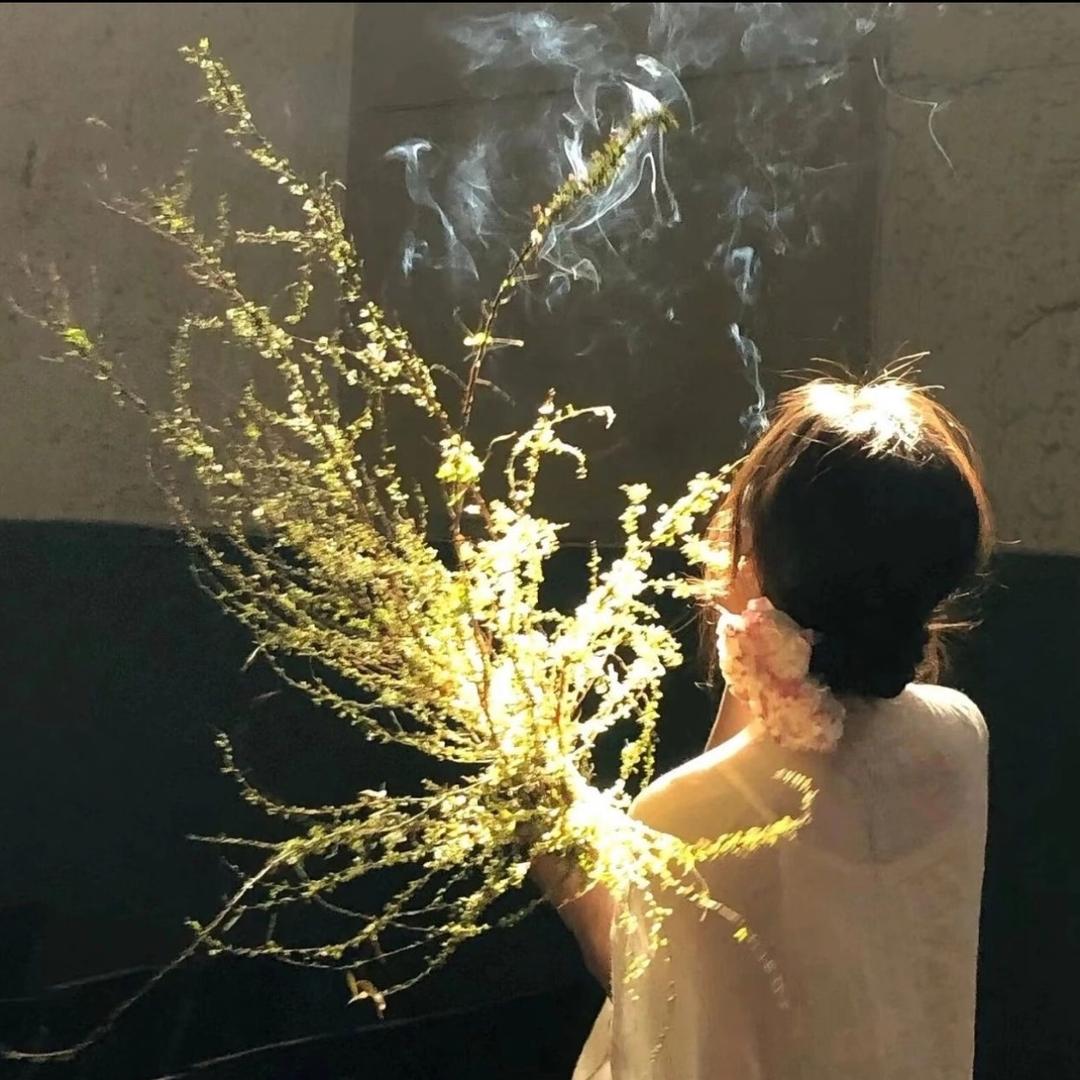 Zy.芥末🌱
