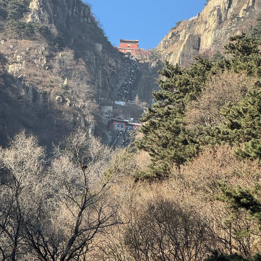白老师