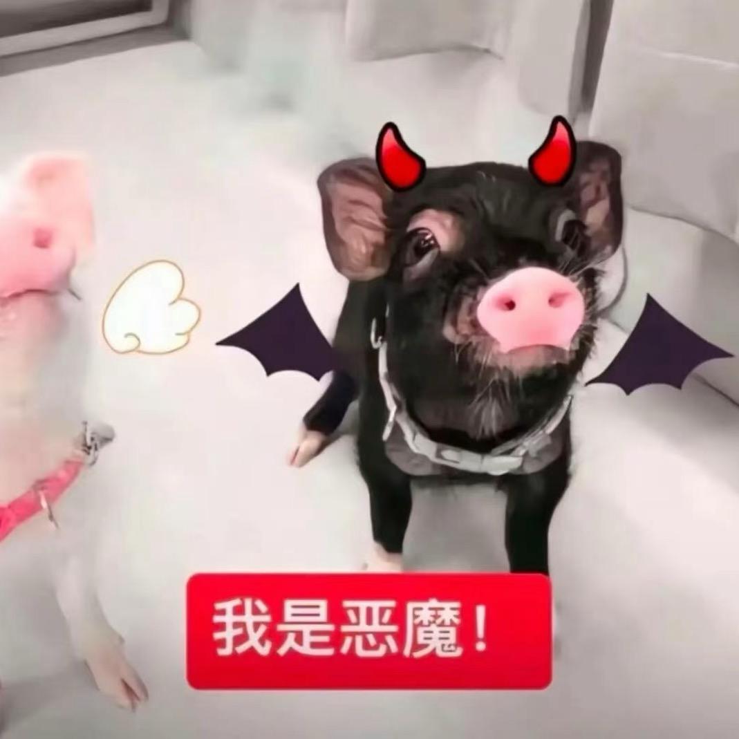 早点睡觉
