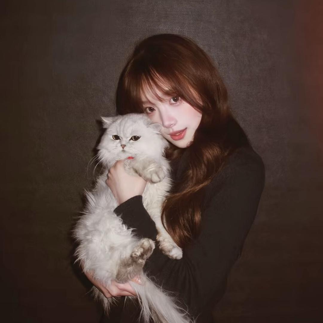 ㅤㅤ ㅤㅤㅤㅤ