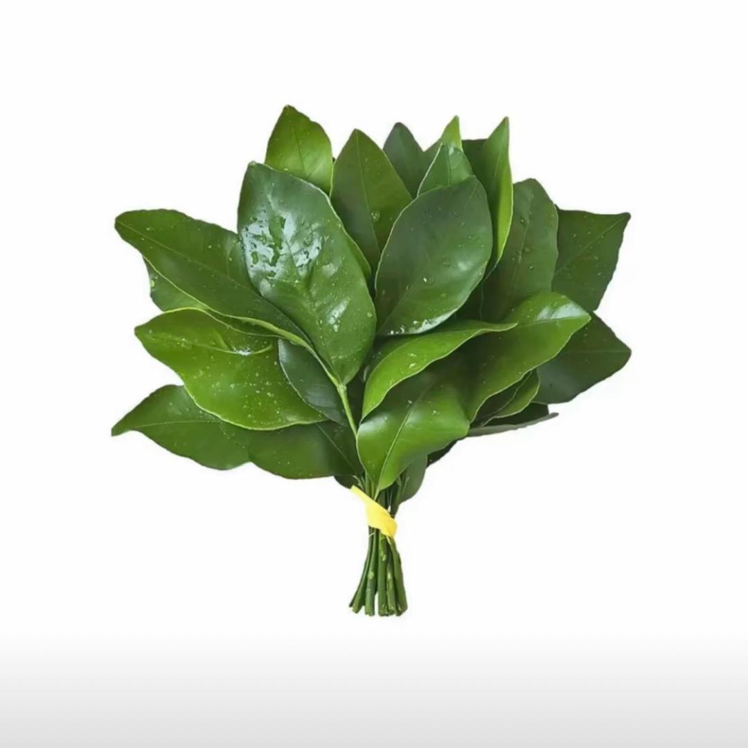 十七