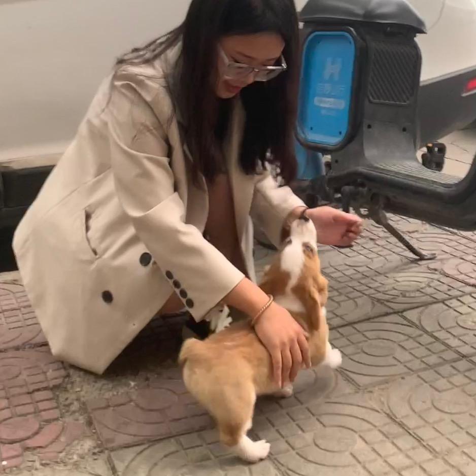 DUORO多肉大码女装🐾