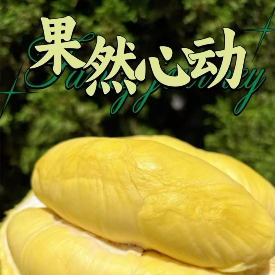 果然星动果乐园