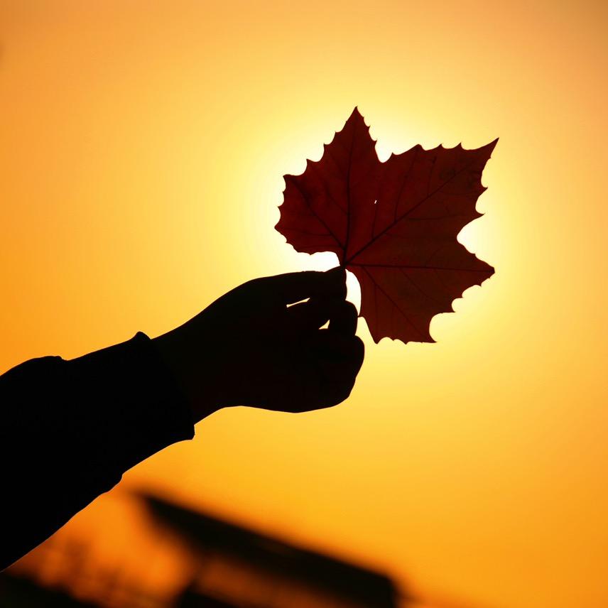 做孩子的坚强后盾