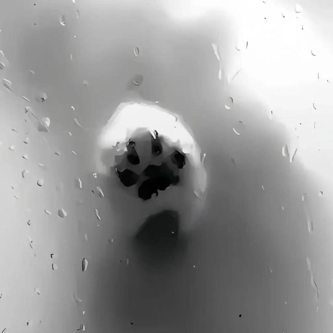 把妹王·梦/新厅营业