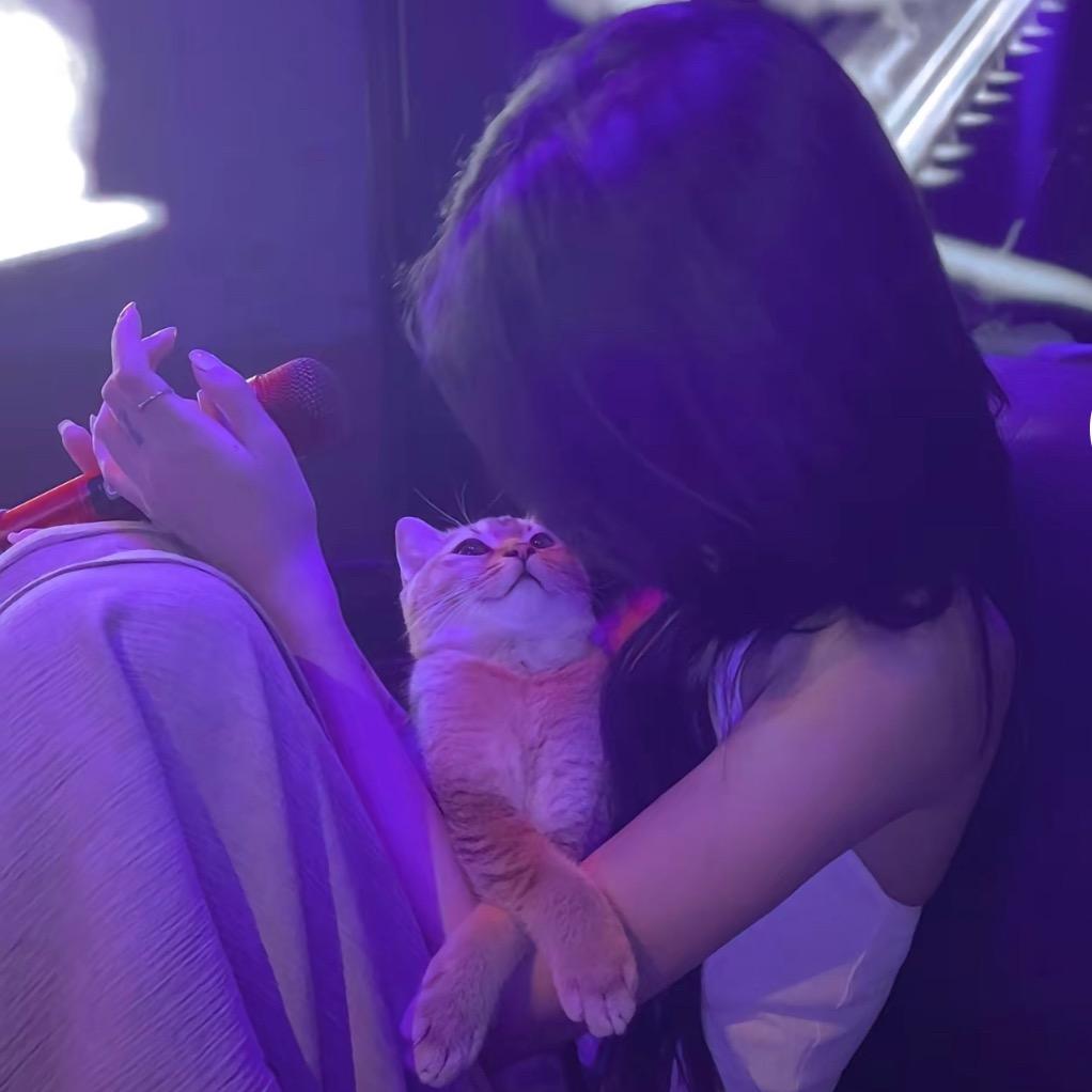 🧸ྀིɞ汤圆