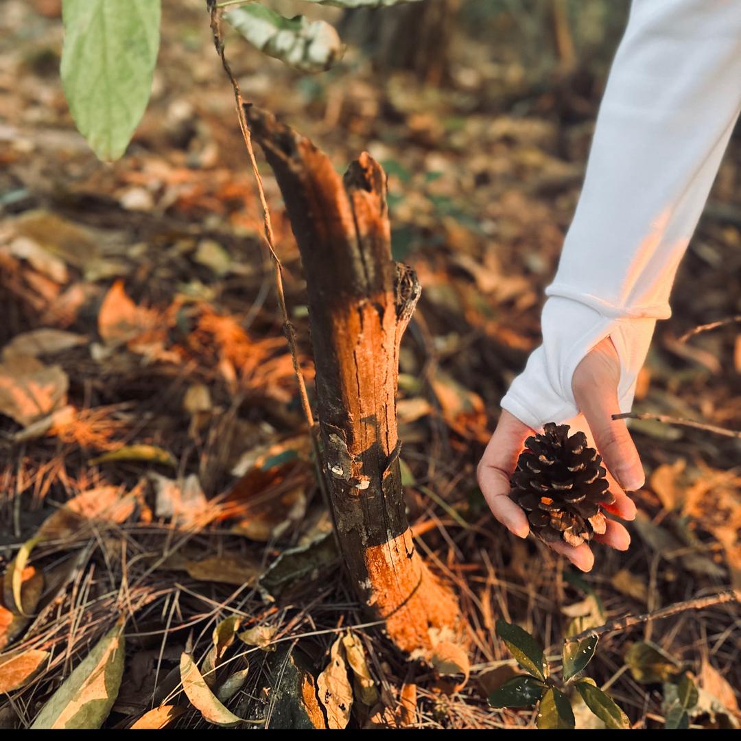 互相关注互相帮助
