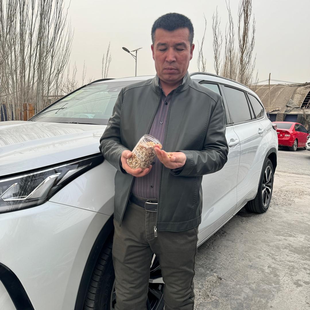 muhtar danqi