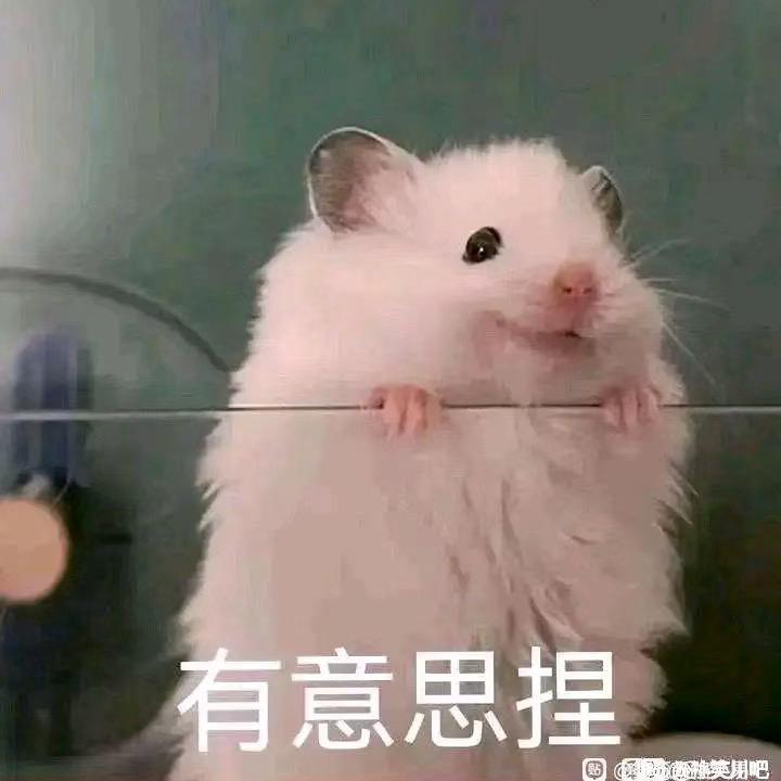 肥子