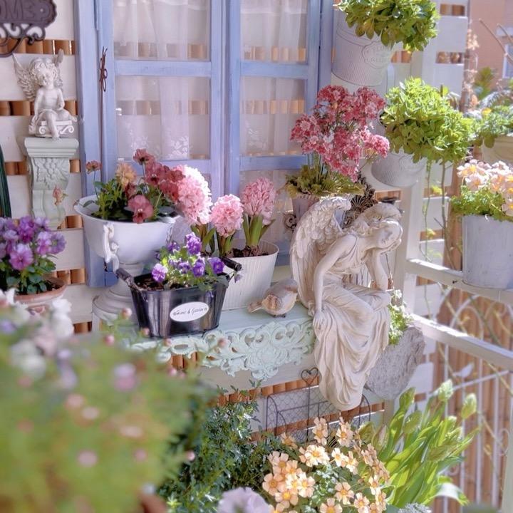 mumu花园