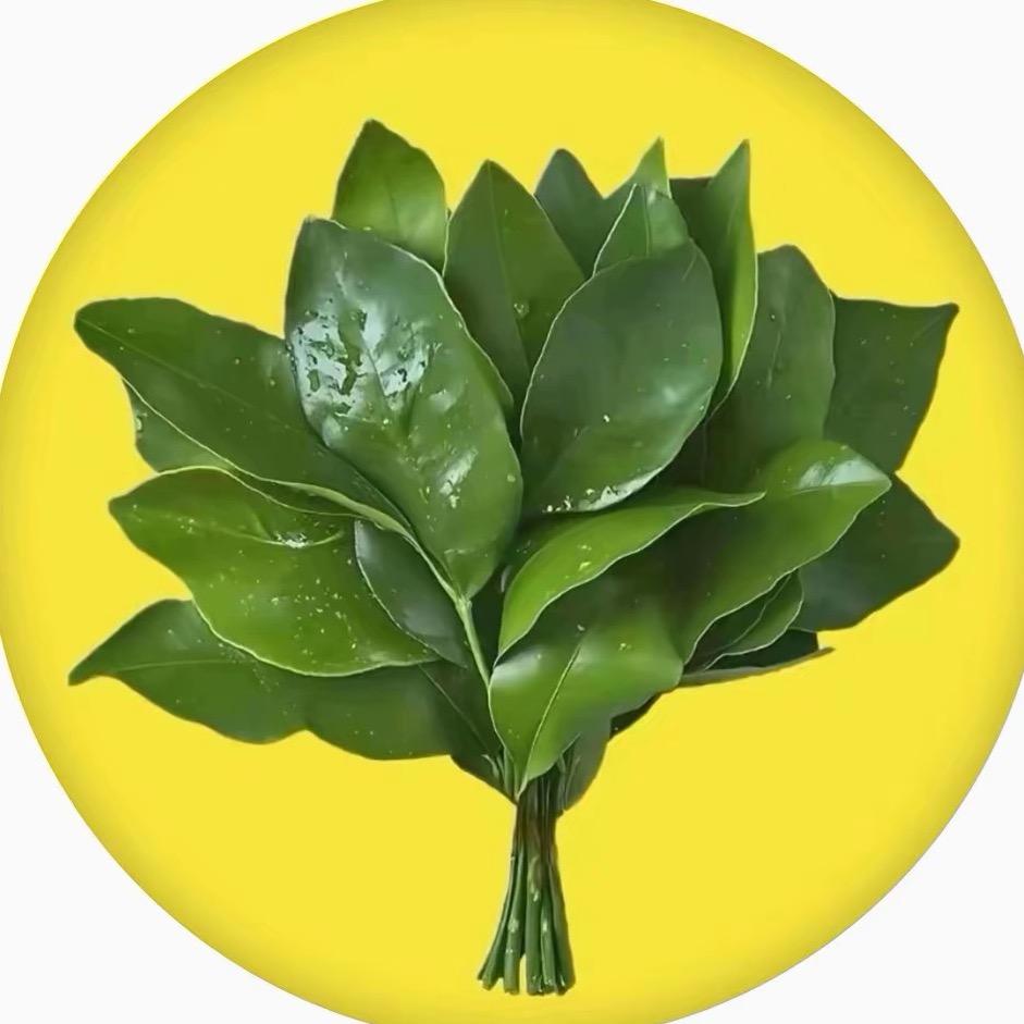 红秋🍃