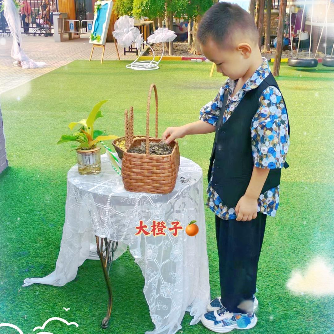 大橙子呀🍊
