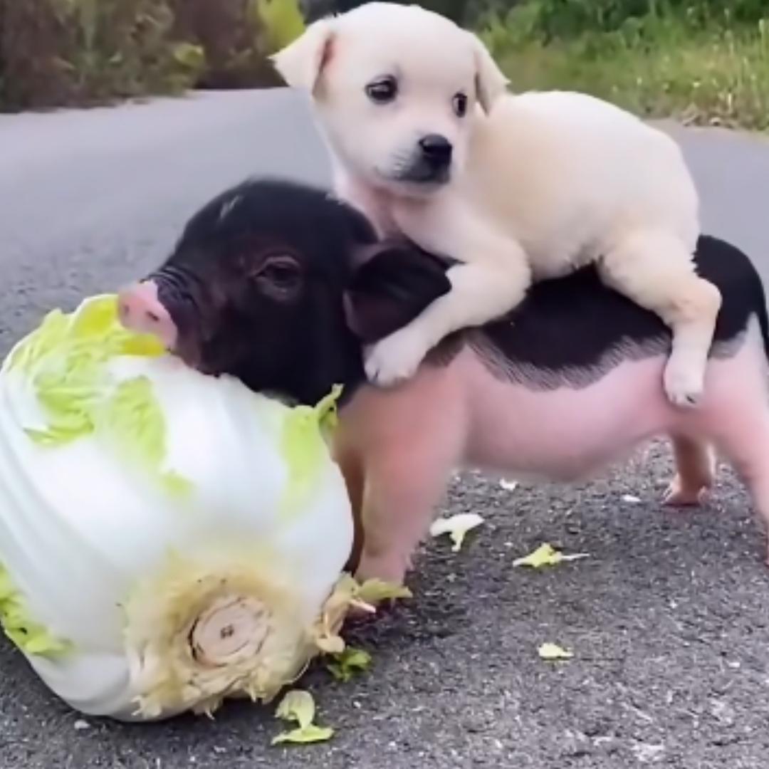 落幕烟花