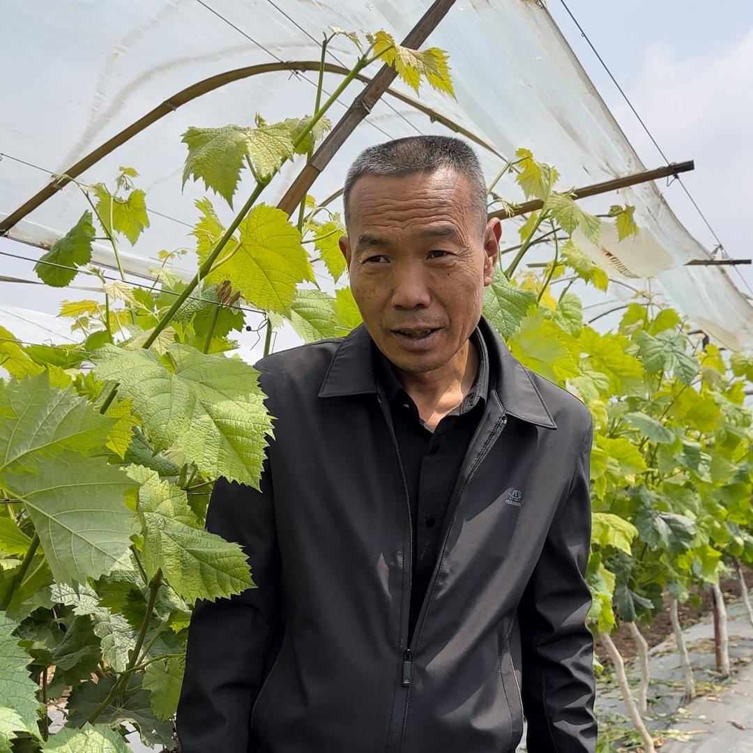 郭老师～果树种植与管理