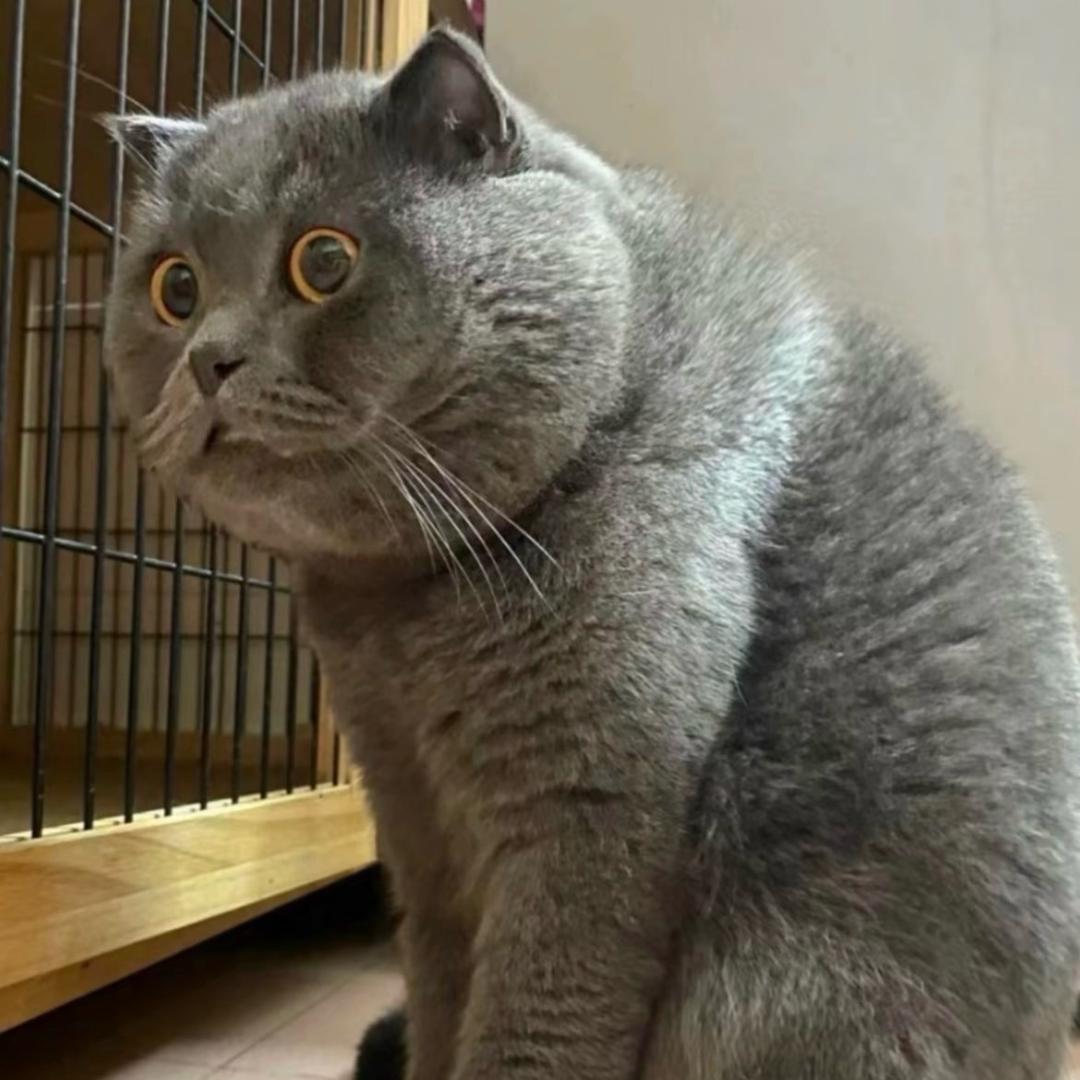 小仙女的定制衣橱