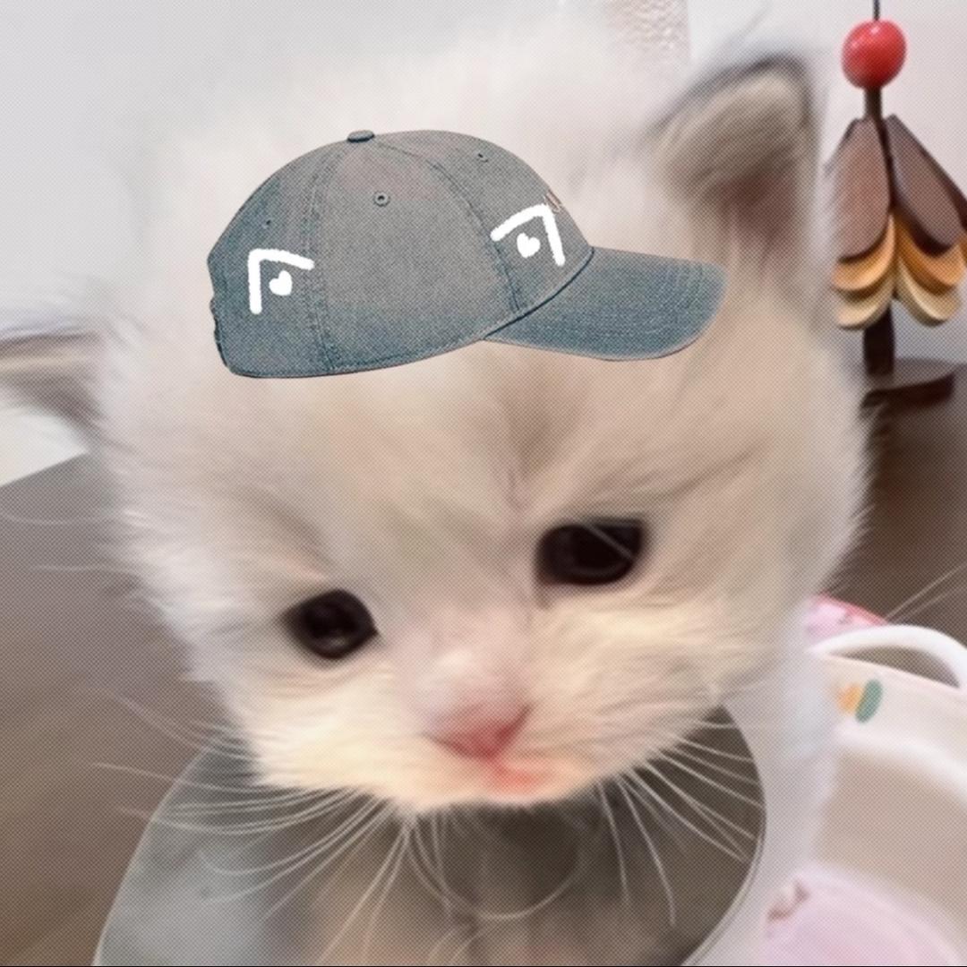 鱿鱼丝