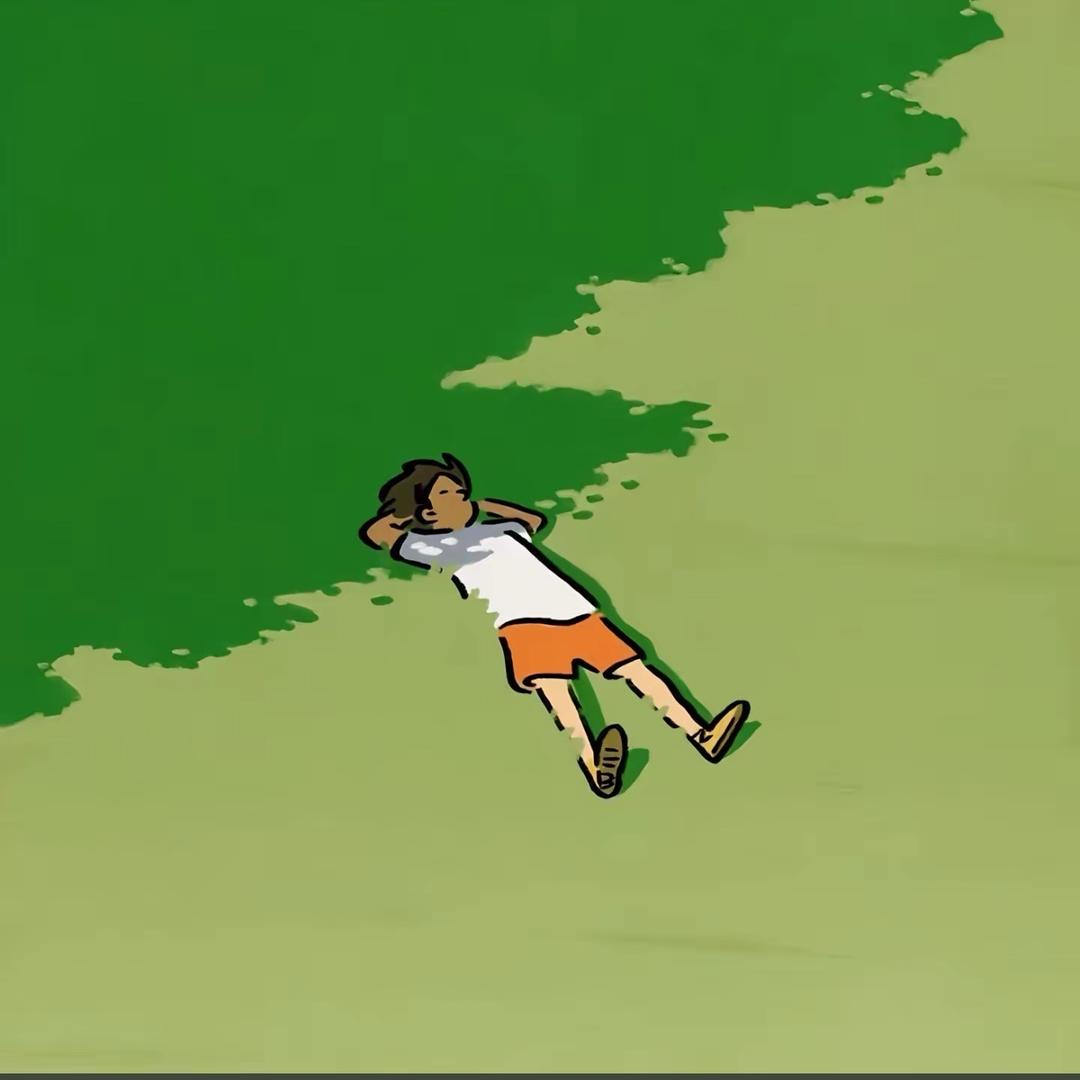 小白数码