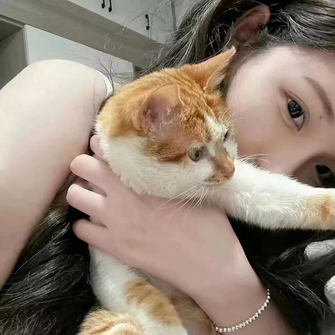 心想事成