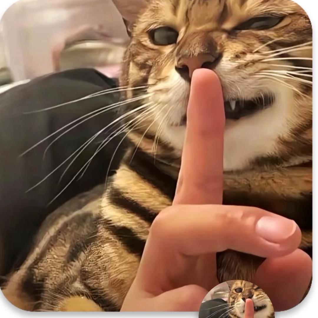 金金呐～