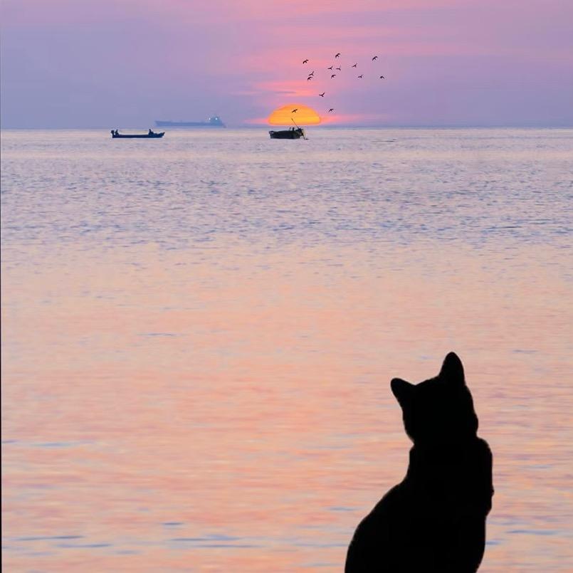 🐾