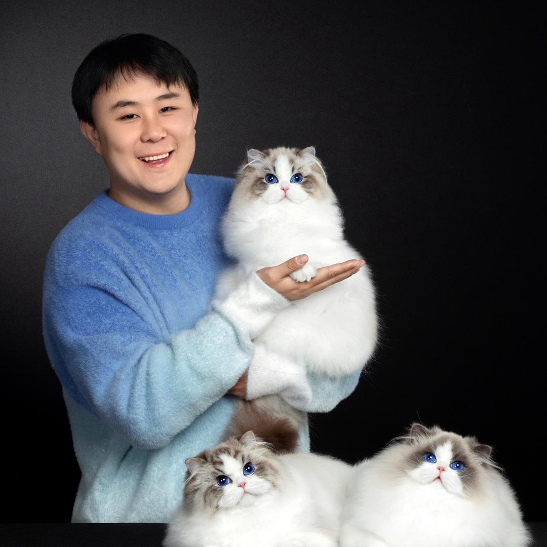 张宝彤布偶猫舍