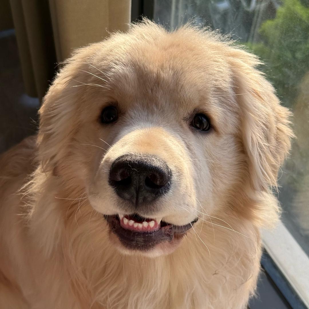 犟犟的money