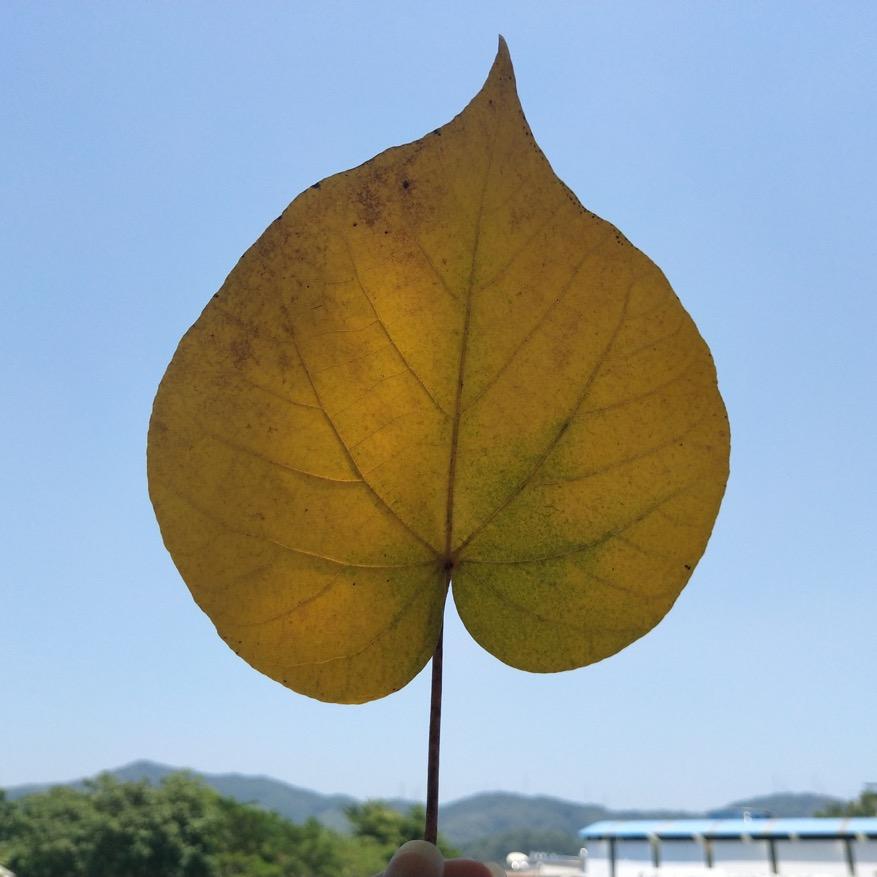 旅途