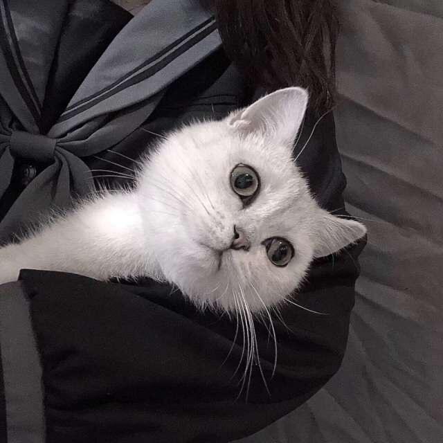 小周要睡觉