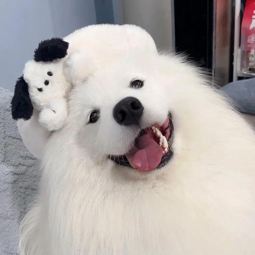 果酱⁰̷̴͈꒨⁰̷̴͈