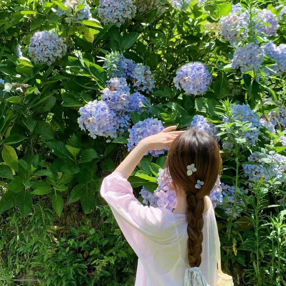 妮妮不吃香菜🌿