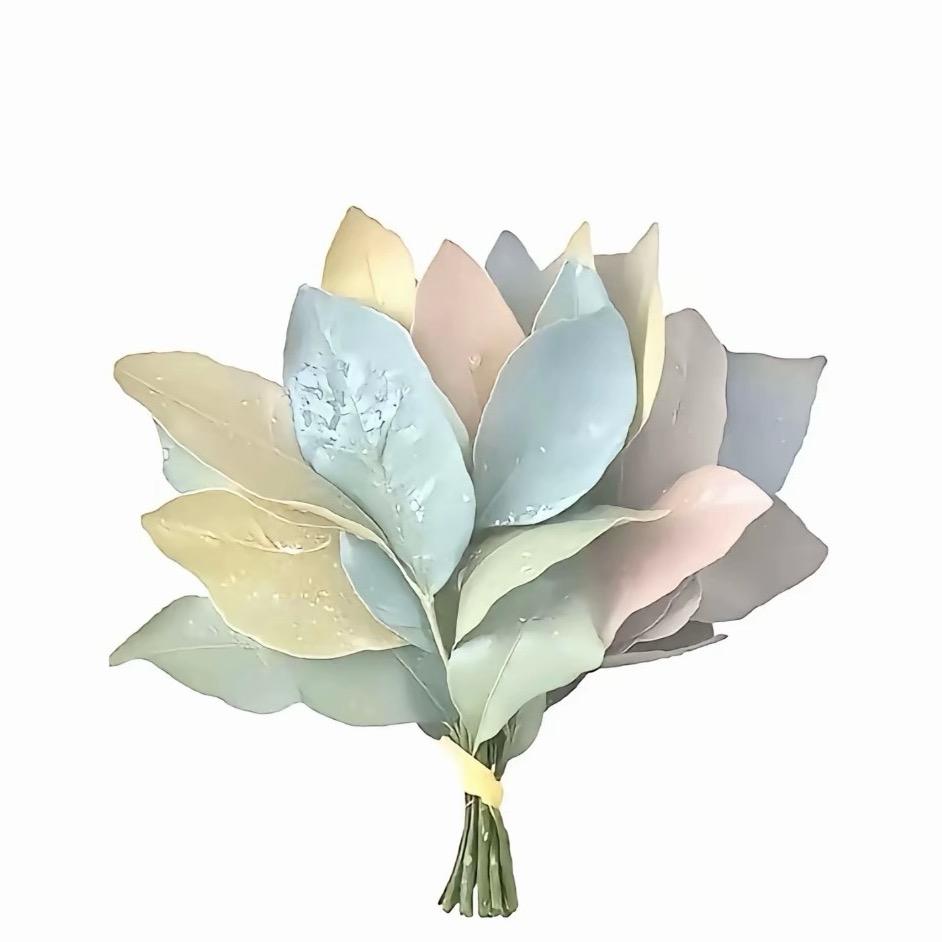 小不点