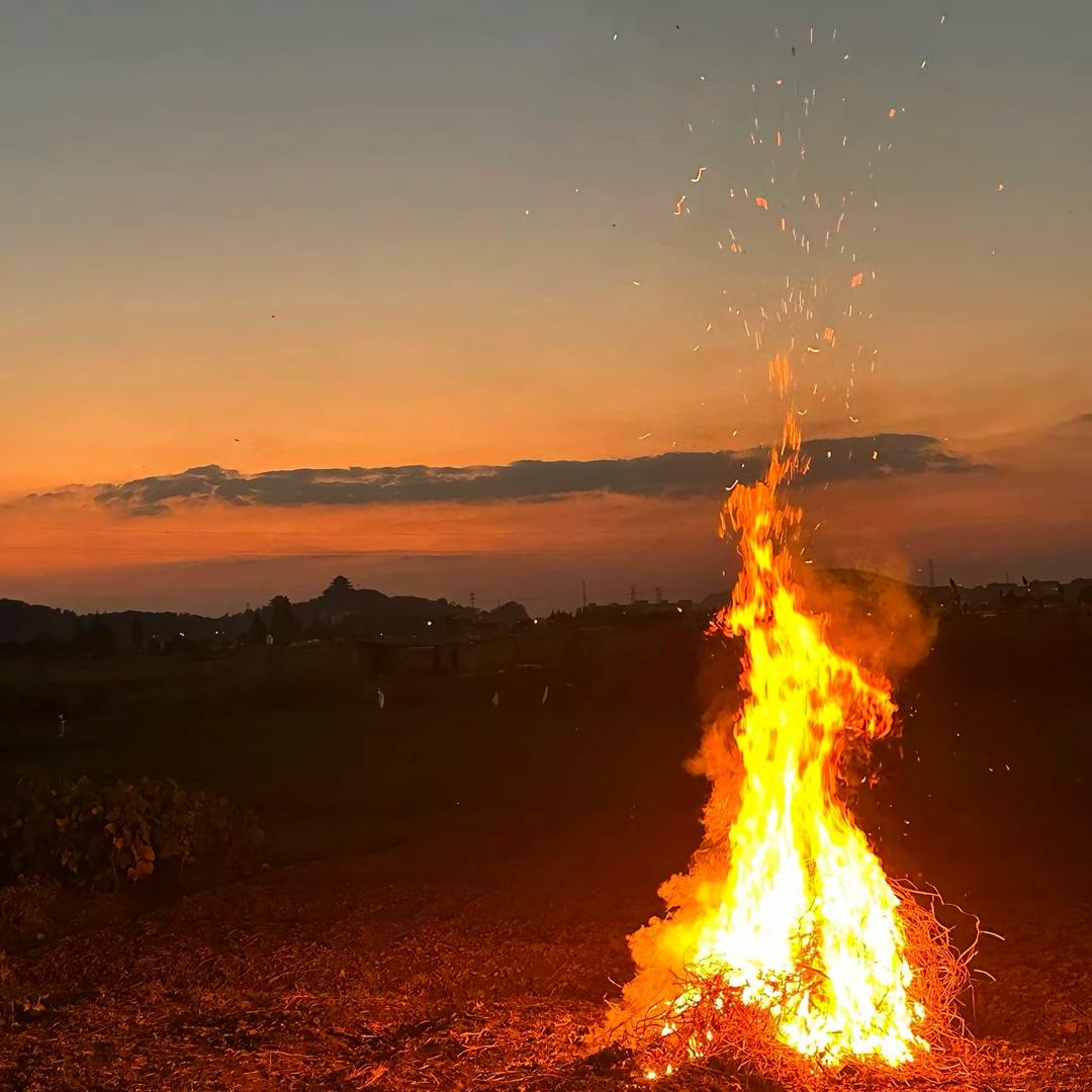我是你的李小姐