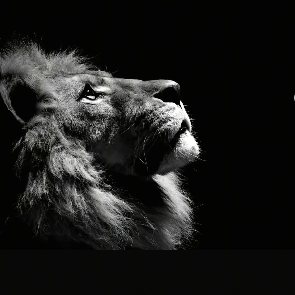 AA💮No.1 延續🦅