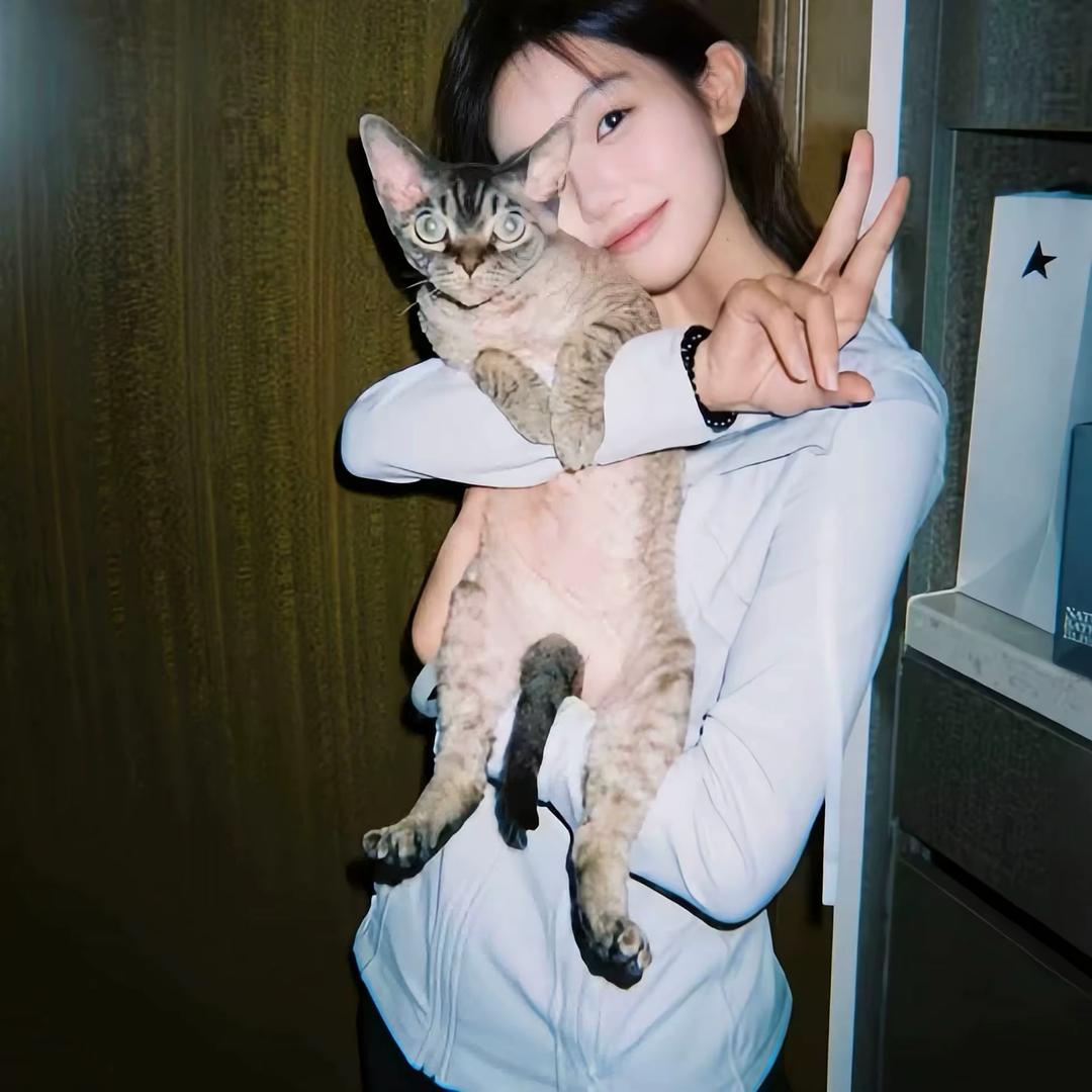 🐾
