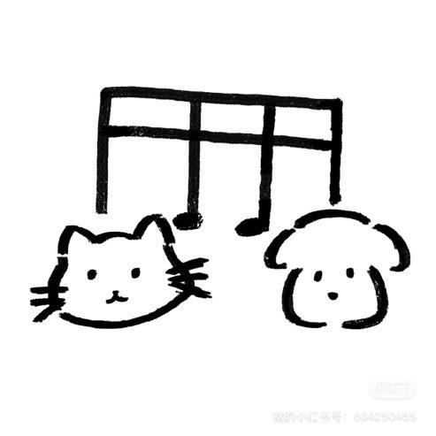 是卷卷