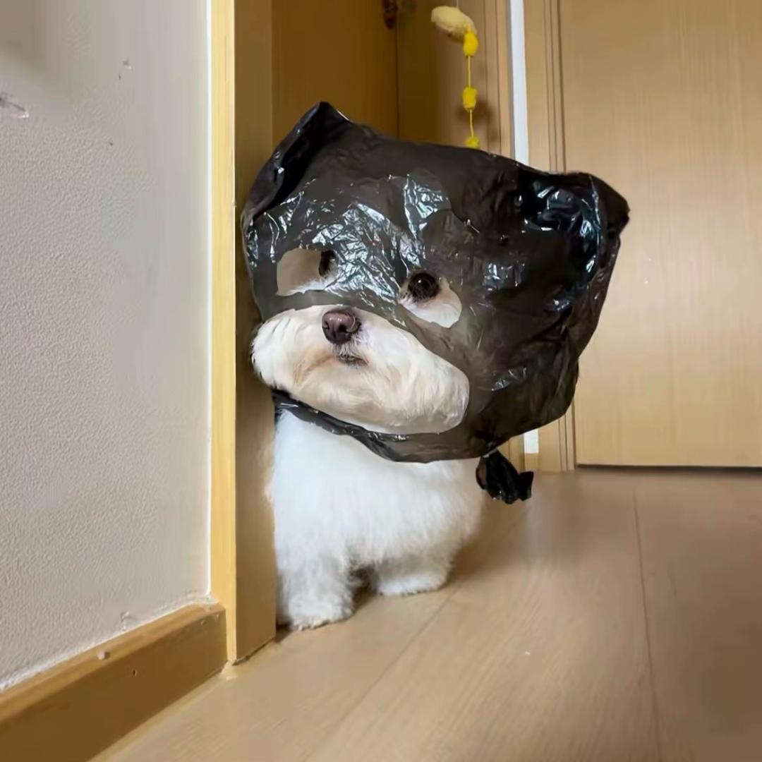 小肖的精彩生活