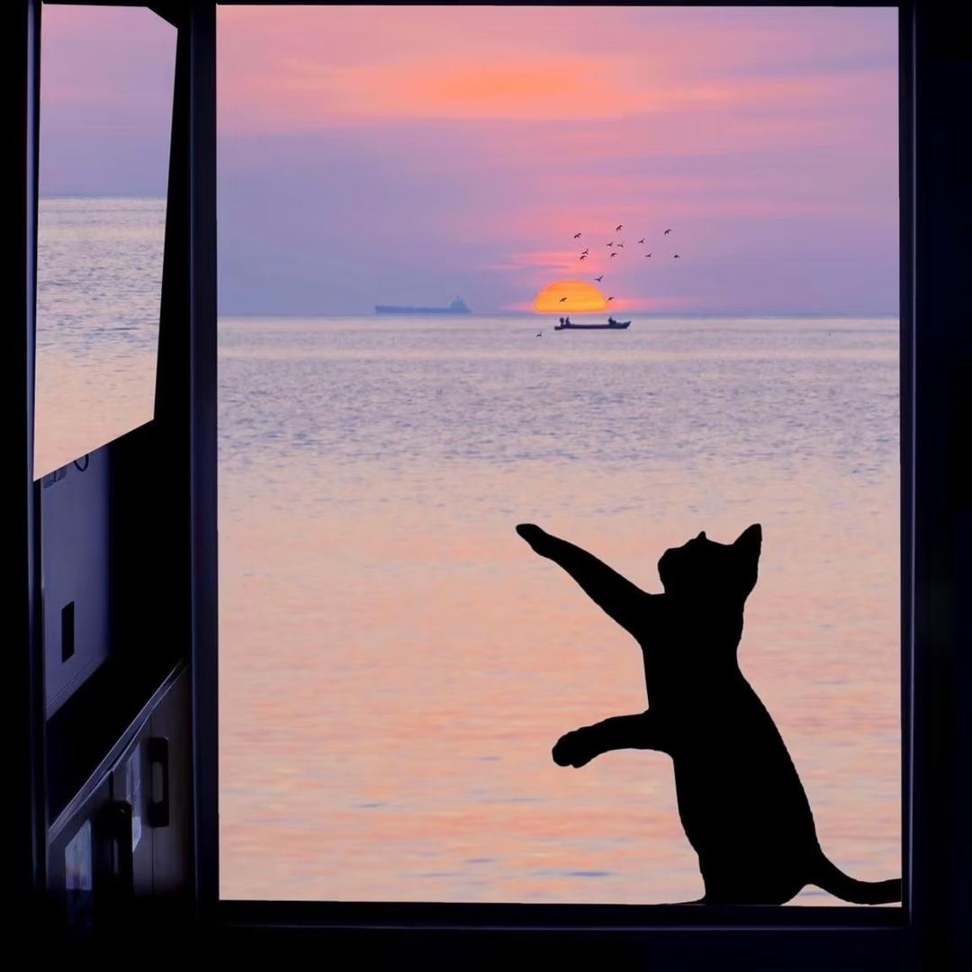 蒂通-旺旺小福星