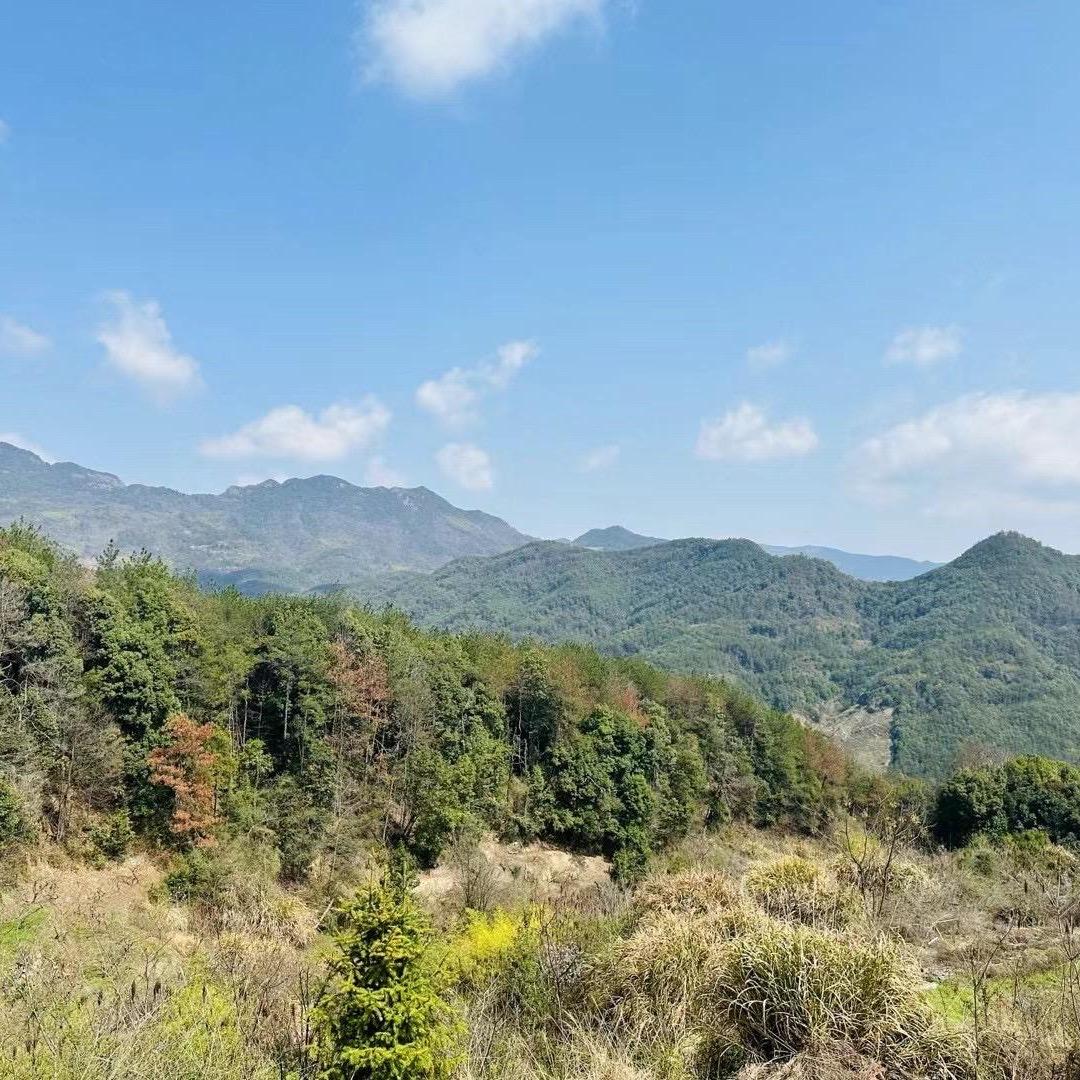 河南智途企业
