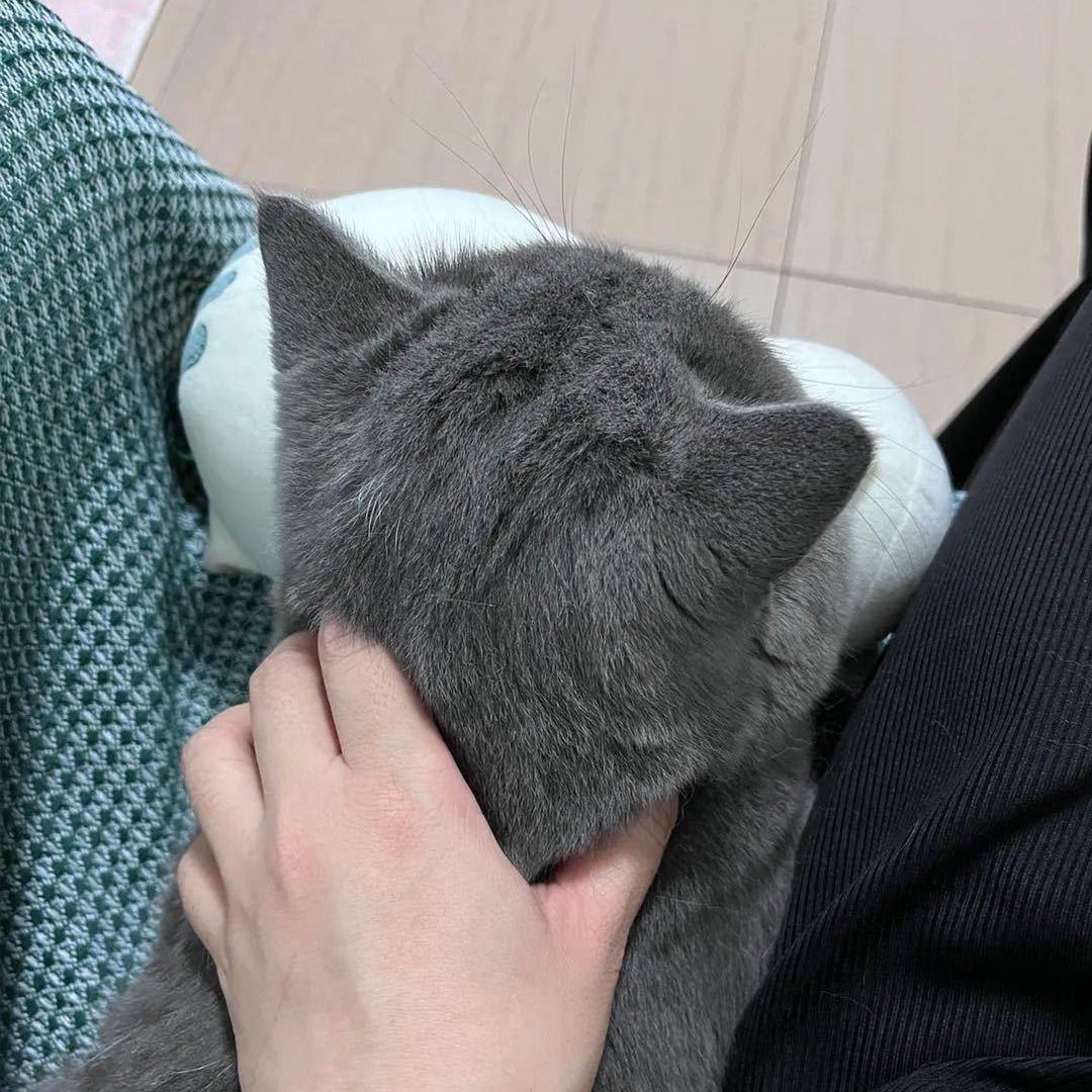 十一~