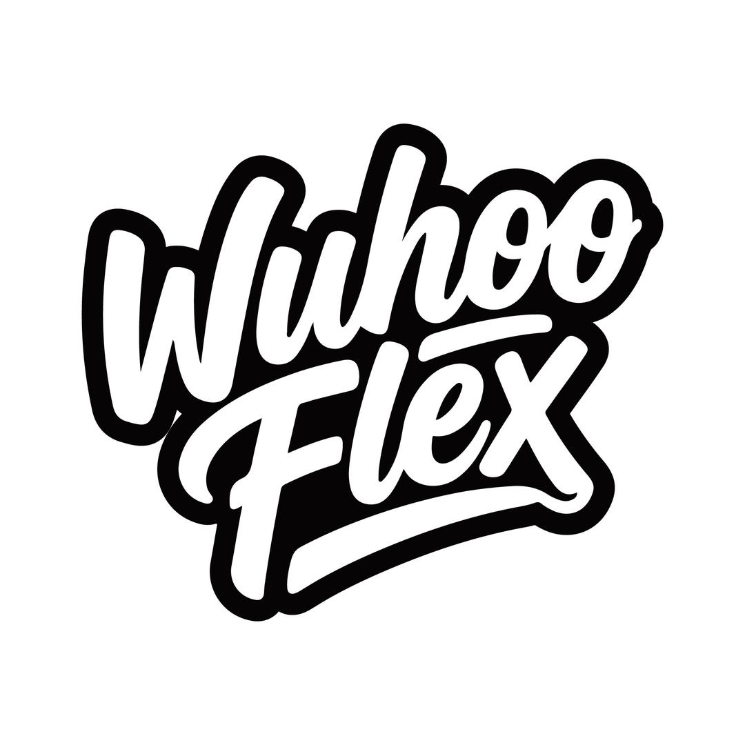 WuhooFlex教练团
