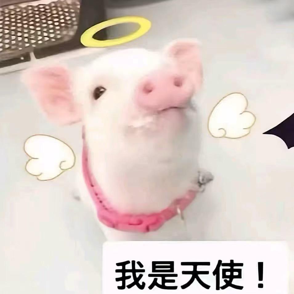 7.🍼