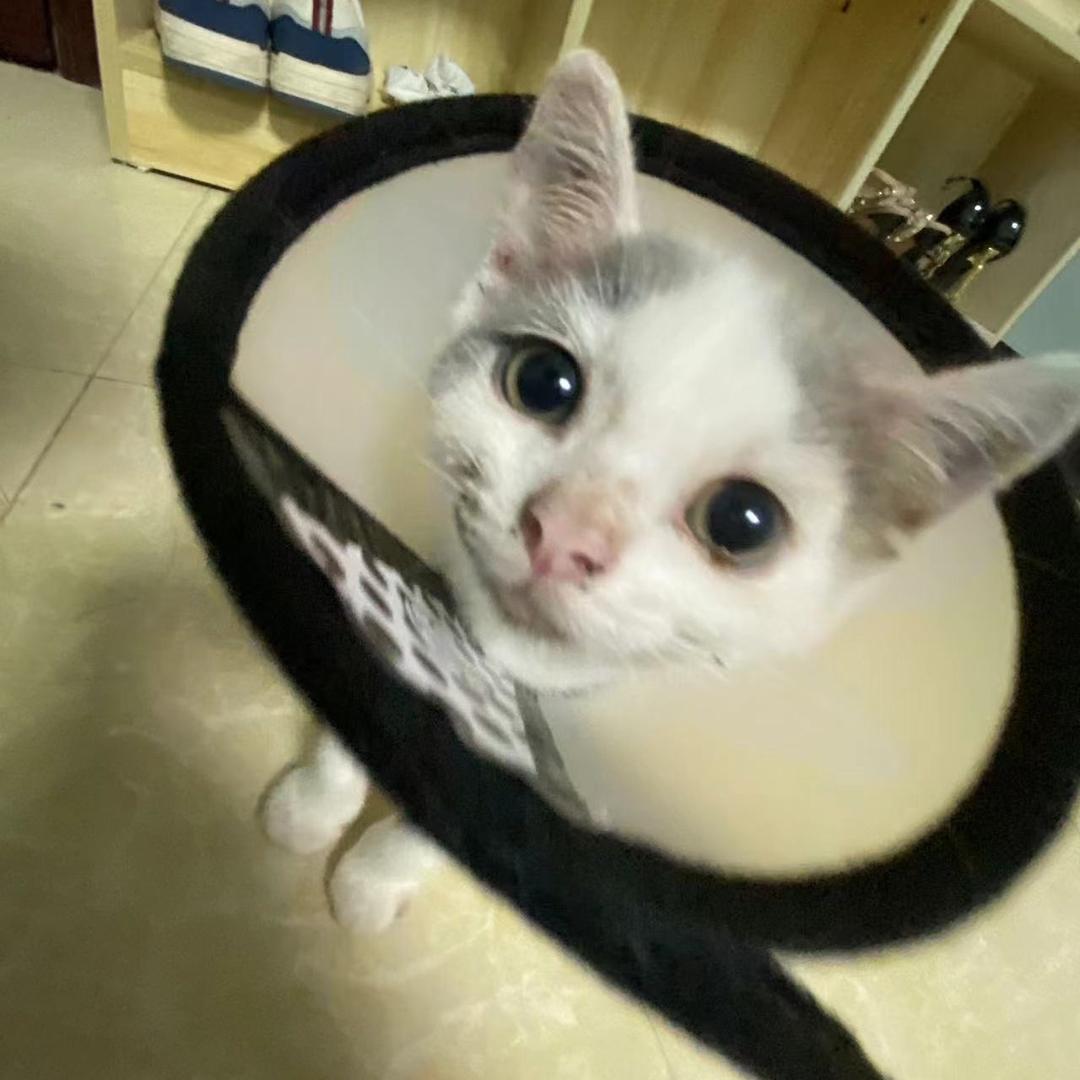 沙琪玛战士