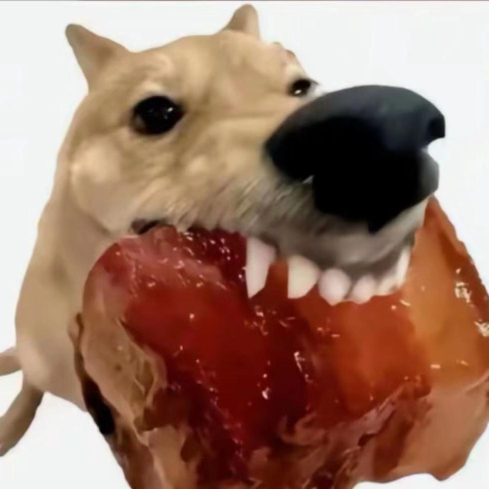 杨小躁