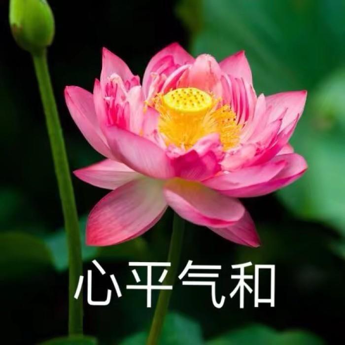 讨厌天蝎