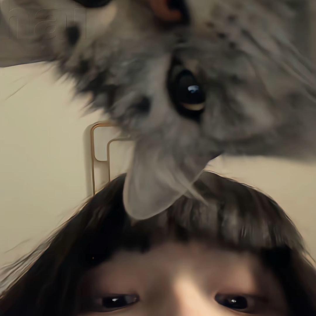 得人恩果千年记￴ ￴ ￴￴