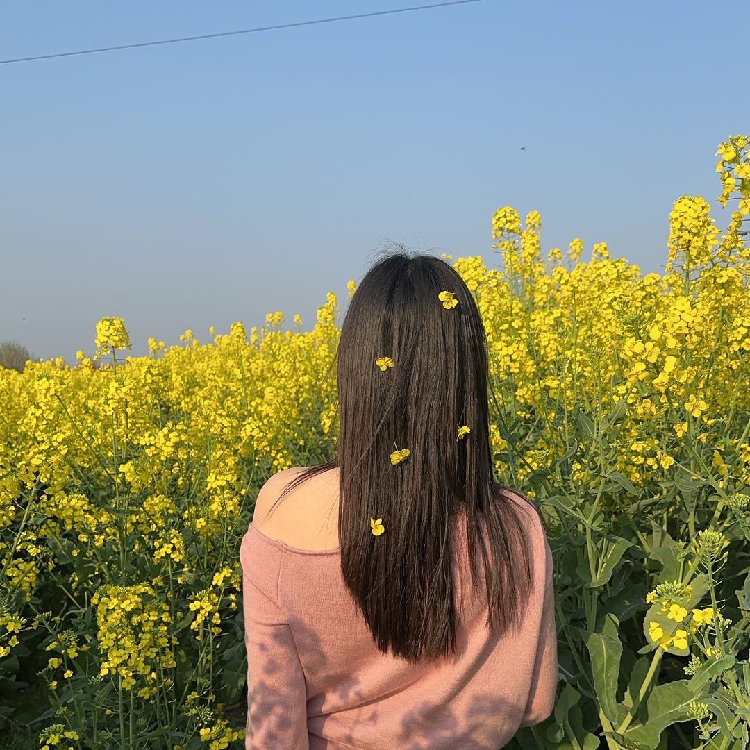 小半🦋